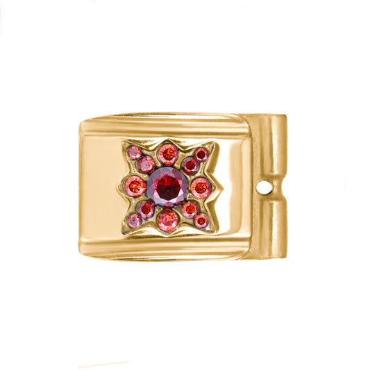 ACTJOYS® Polished Gold Link - Sun - Red