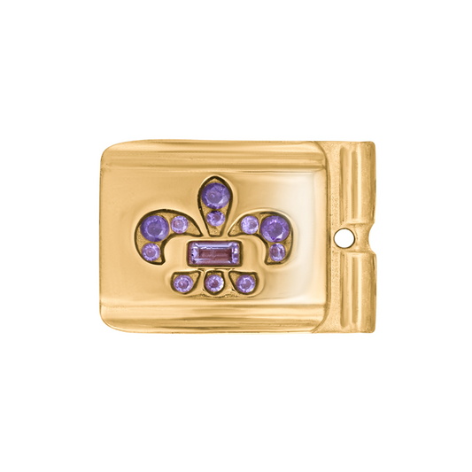 ACTJOYS® Polished Gold Link - Iris - Purple